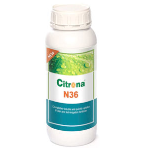 citrona n36