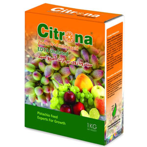 citrona ZN-b-N-amino