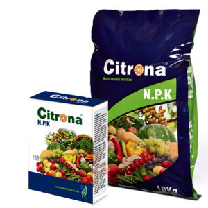 citrona n-p-k