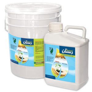 rostan humic